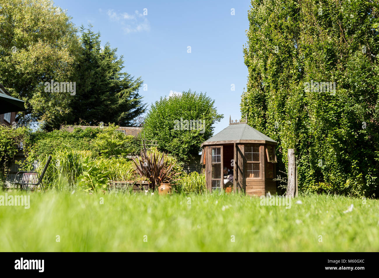 Wooden shed on allotments hi-res stock photography and images - Alamy