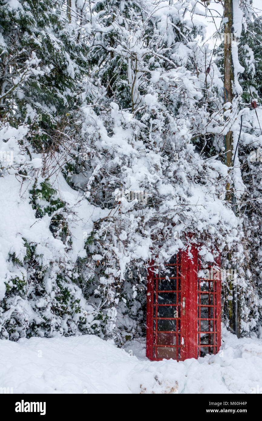Old fashioned red phone box covered in snow covered branches Stock Photo