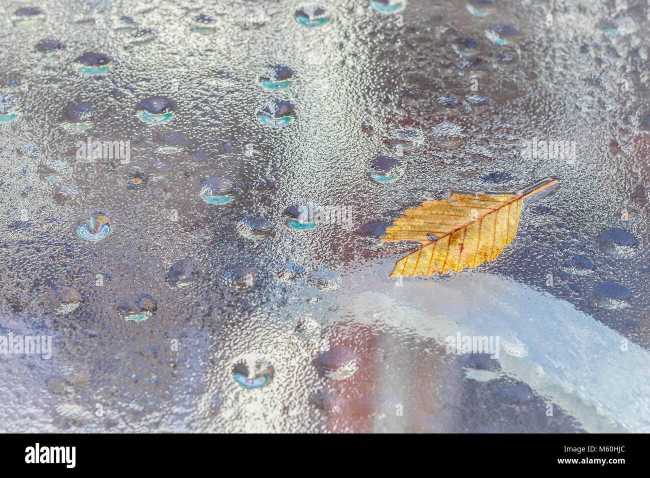 A high-key abstract of a yellow leaf on a translucent glass table top, amid water drops and condensation, with the table's legs just visible below. Stock Photo