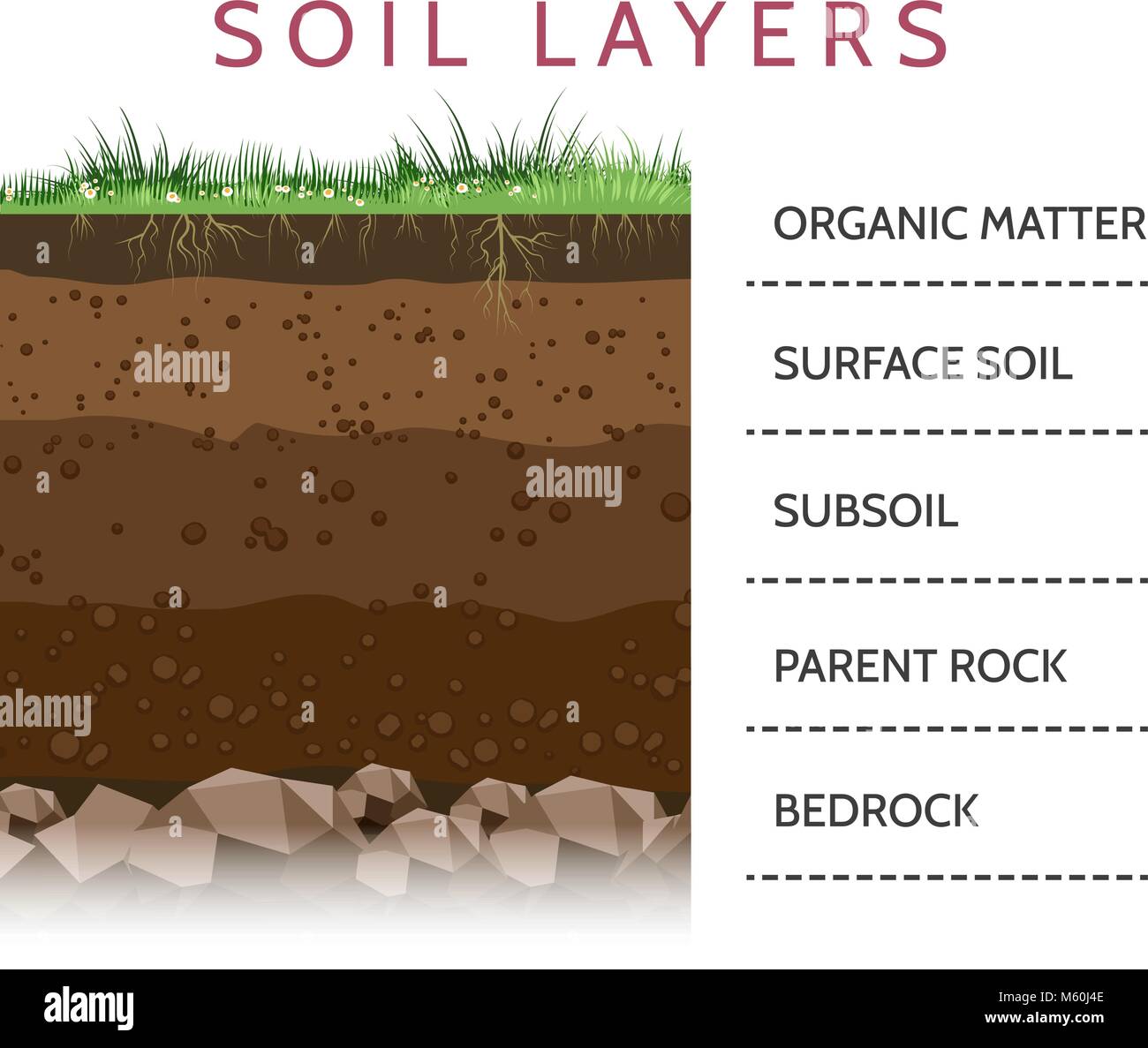 Dirt layers. Soil layer scheme with grass and roots, earth texture and stones vector illustration Stock Vector