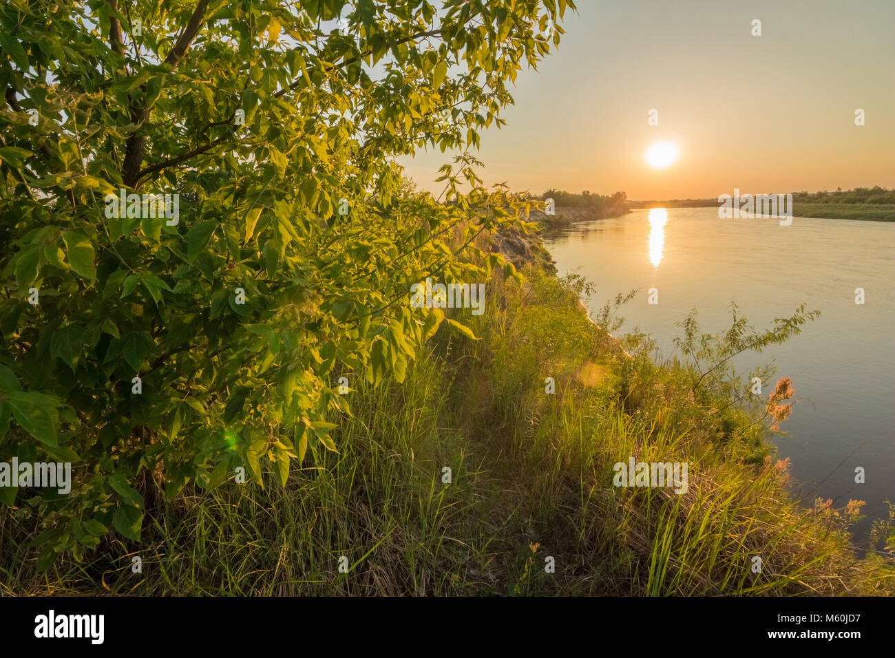 The bank of the river is covered with green grass and the sun at sunset ...