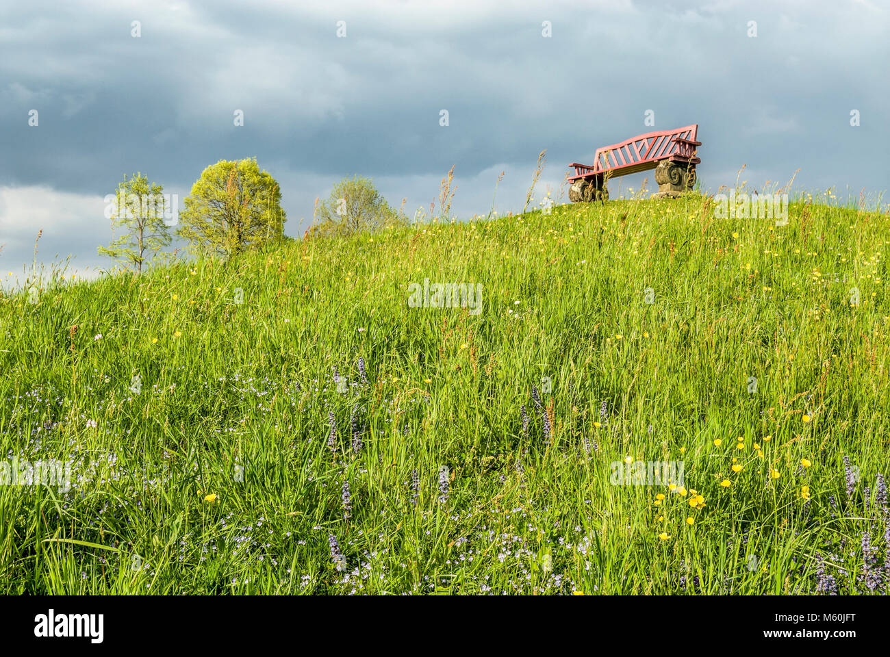Lone and empty bench on a green Spring Lawn Hill with Flowers, Switzerland Stock Photo