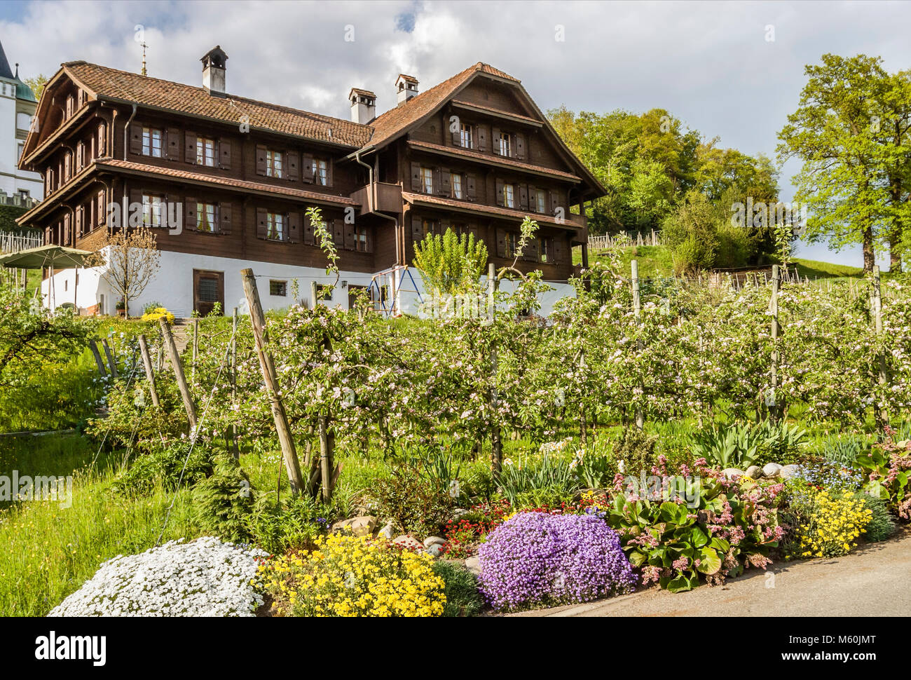Vineyards at Meggenhorn Castle, Lake Lucerne, Switzerland Stock Photo