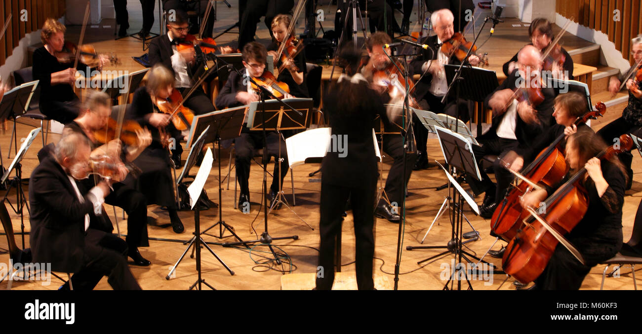 orchestra playing with a conductor, blurred with speed of movement. Stock Photo