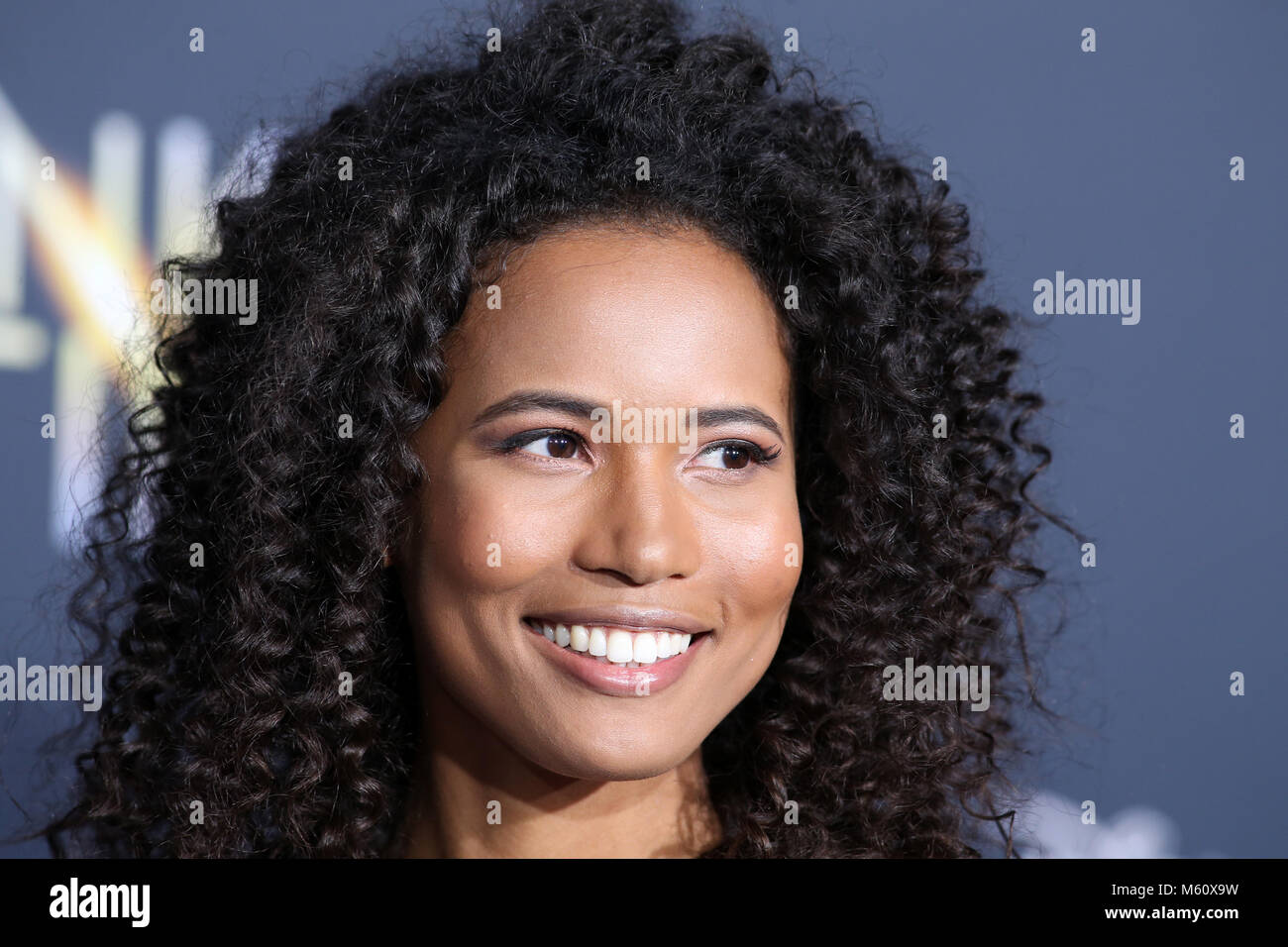 LOS ANGELES, CA - FEBRUARY 26: Fola Evans-Akingbola, at A Wrinkle In