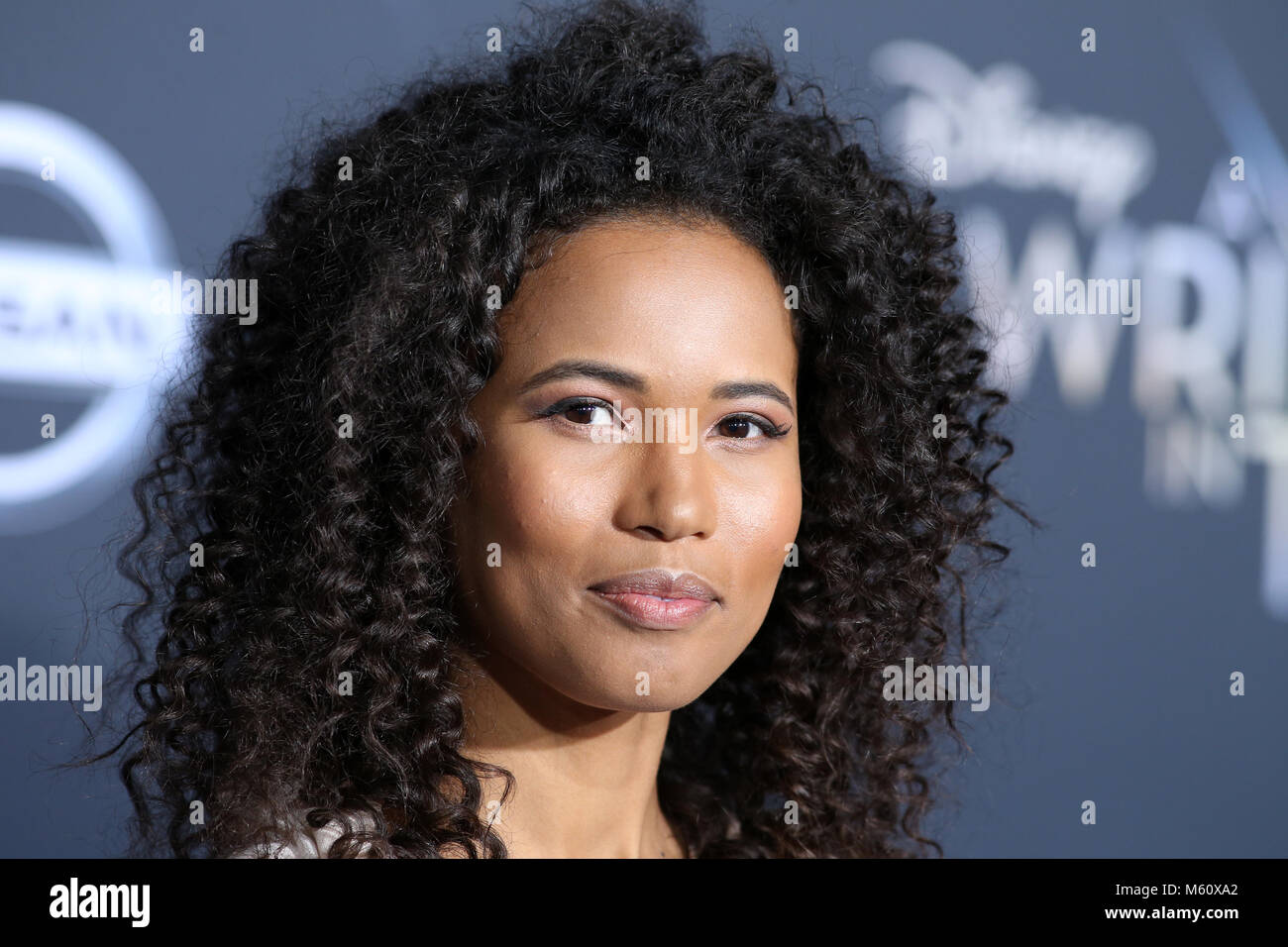 LOS ANGELES, CA - FEBRUARY 26: Fola Evans-Akingbola, at A Wrinkle In