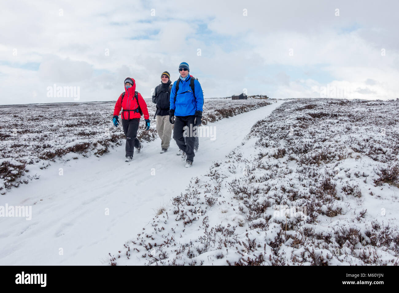 From west moors hires stock photography and images Alamy