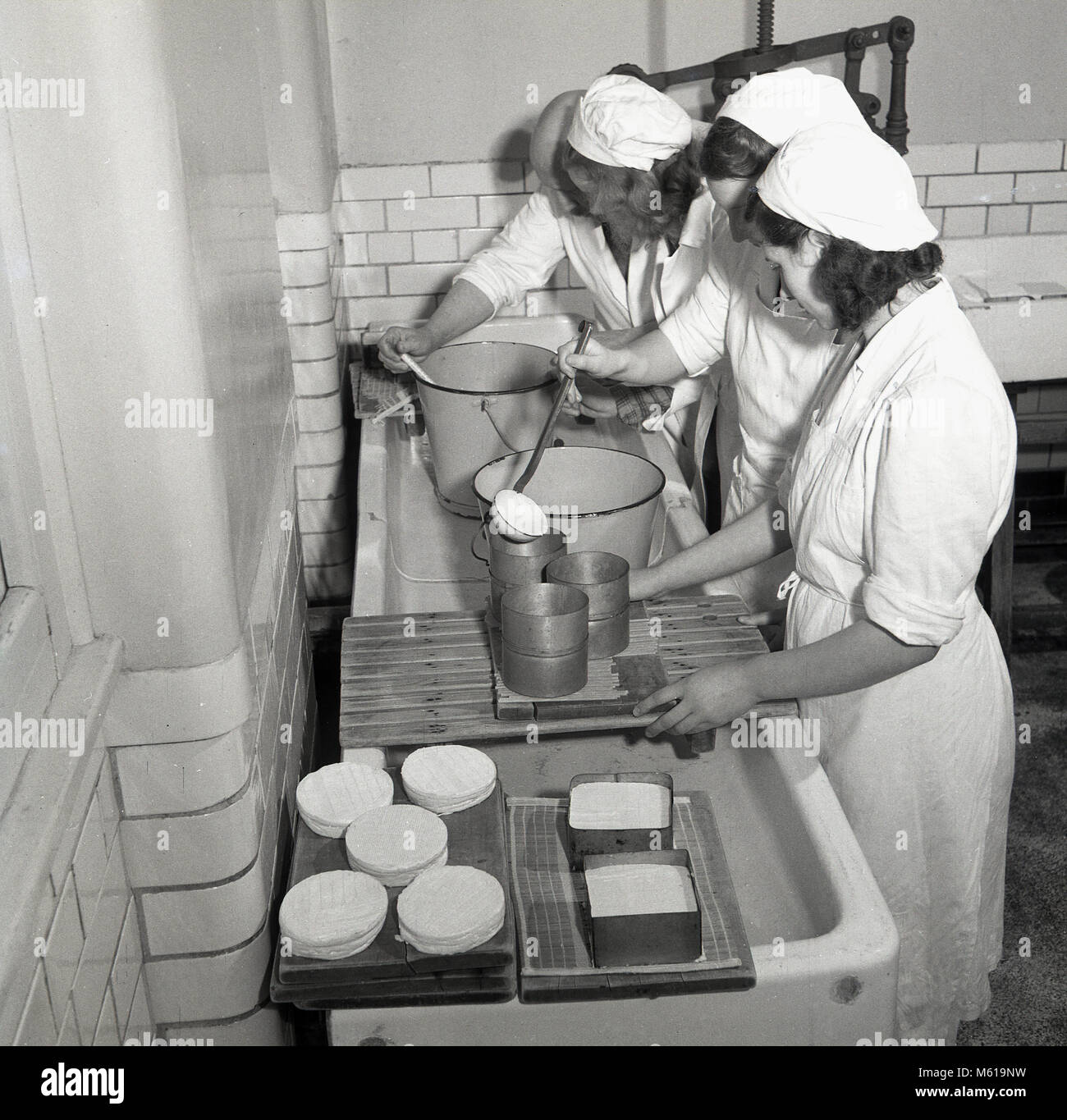 1950s, historical picture showing three young female agricultural students inside a dairy making cheese. Such hands-on experience to learn new skills and take advantage of opportunities in the farming sector in post-war Britain was actively encouraged, as there was a need and a big demand for more home-grown food. Stock Photo