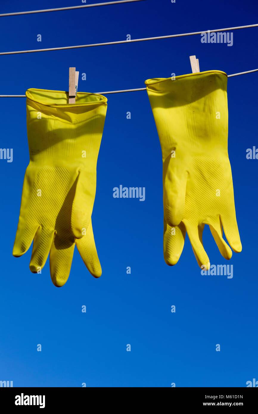 rubber glove stand