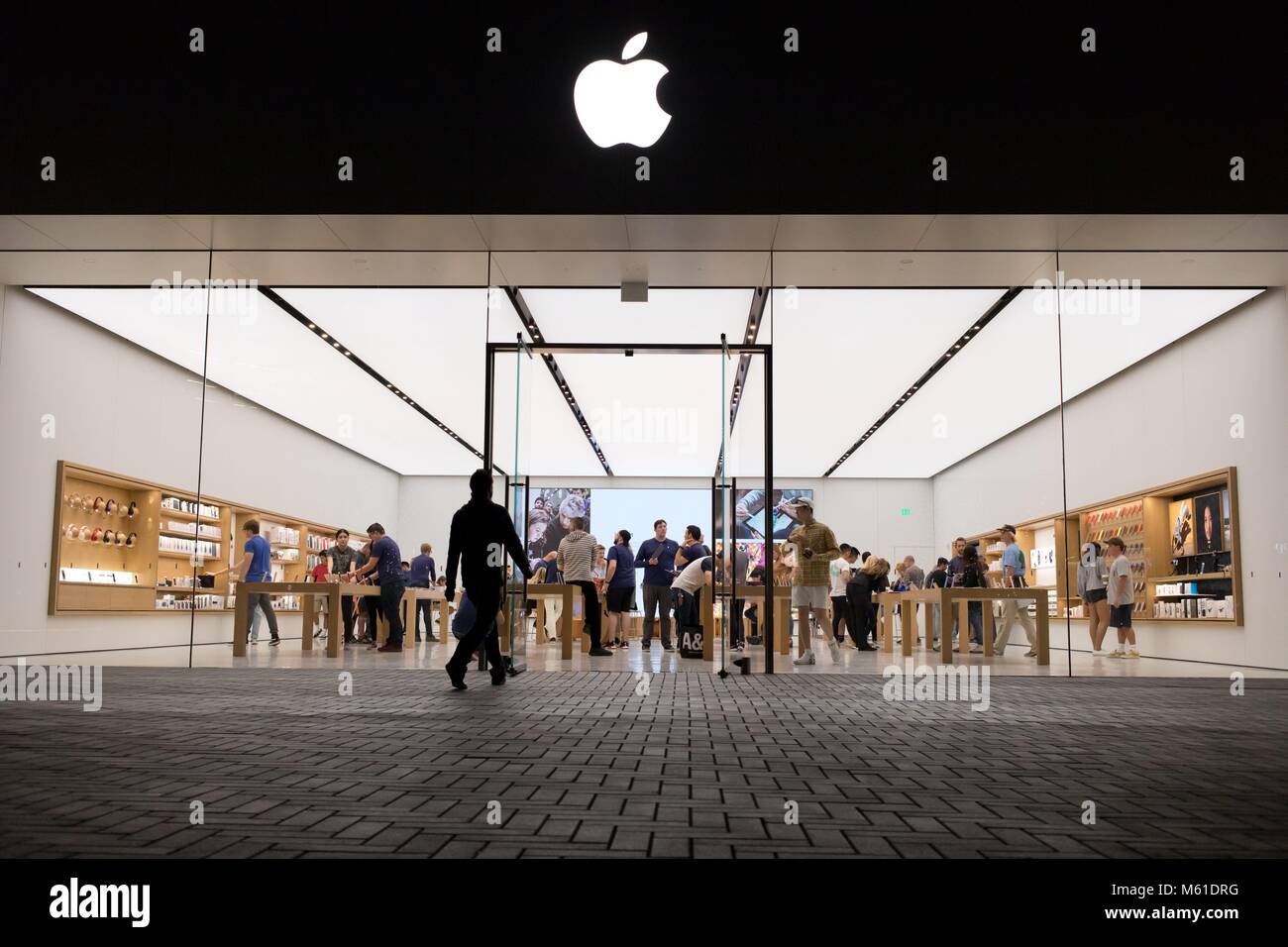 Illuminated Apple Store at the Westfield UTC mall in San Diego, in