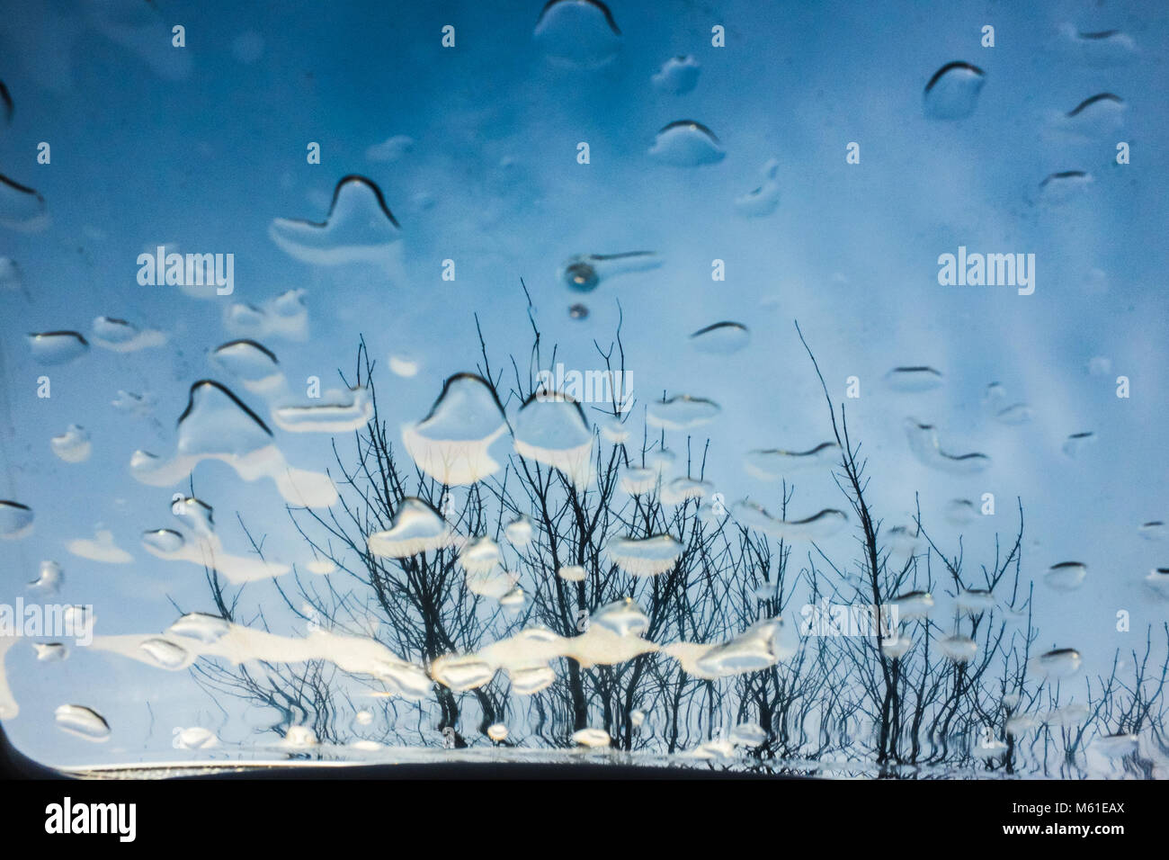 raindrops - Stock Image