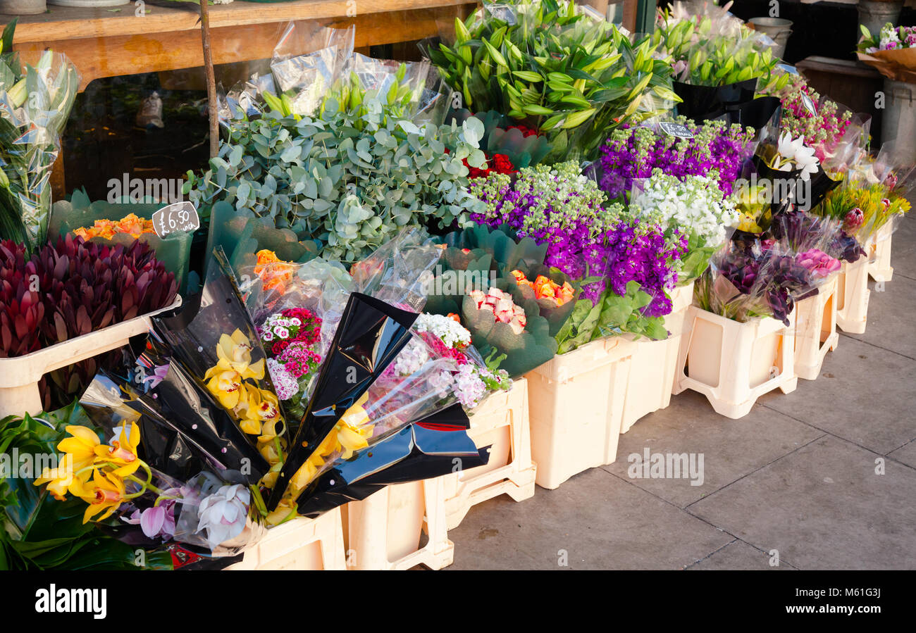 Various flower bouquets in plastic containers with price tags for sale at a street market in England Stock Photo