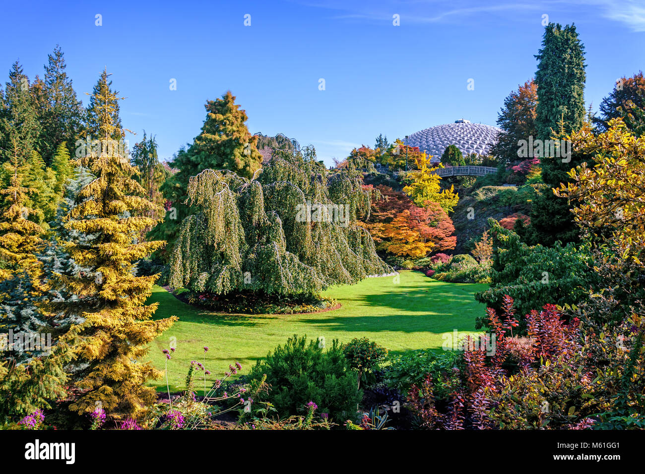 A summer day in a botanical garden with a beautiful landscape, a ...