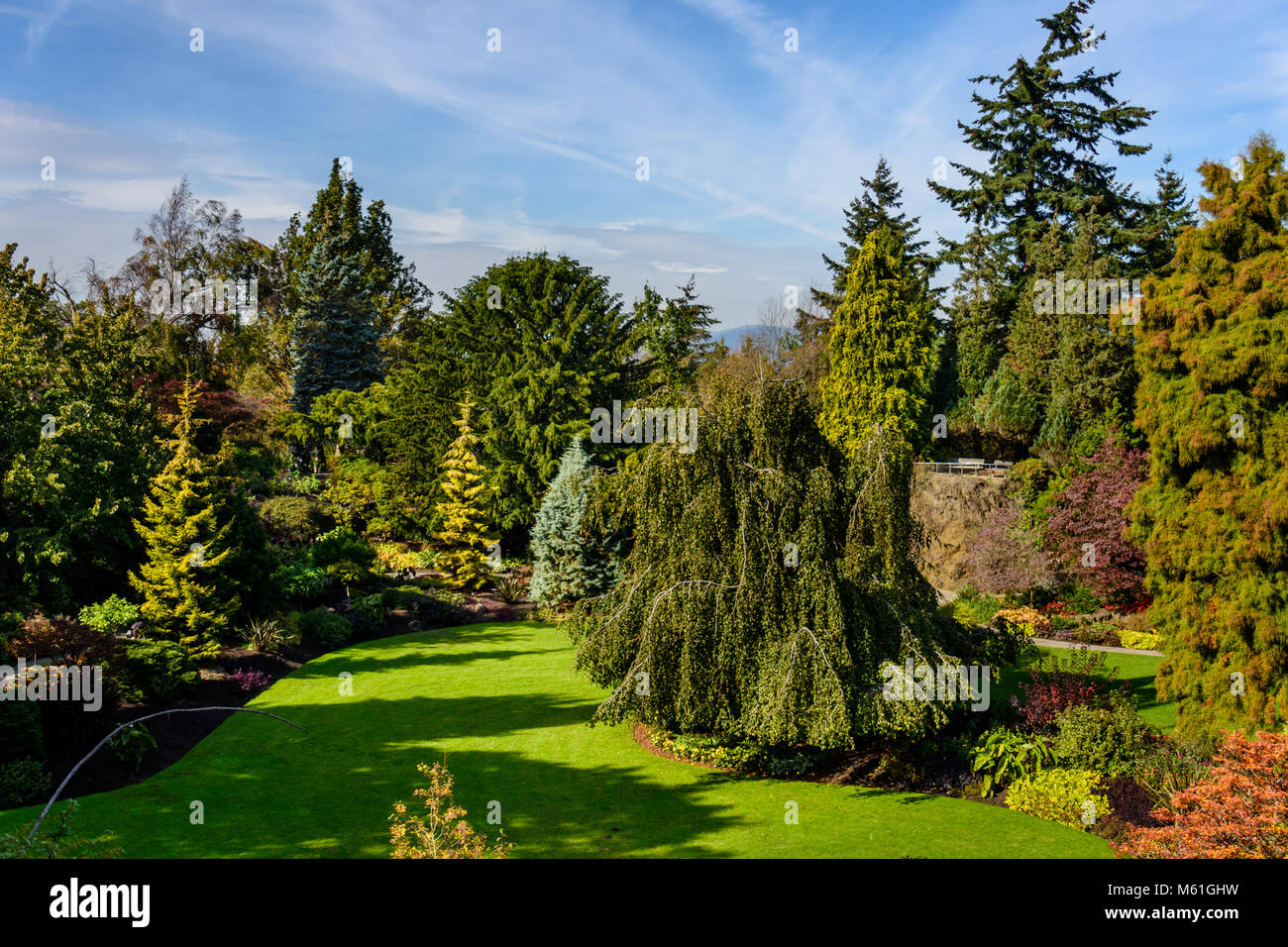 An arboretum with colorful trees and bushes, a green lawn, a park bench ...