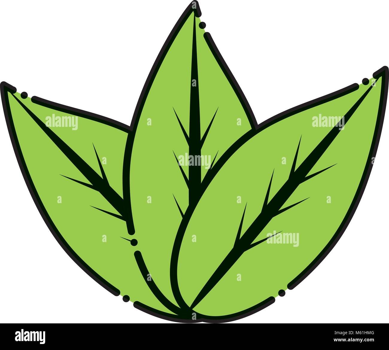 leaves icon over white background, colorful design vector illustration ...