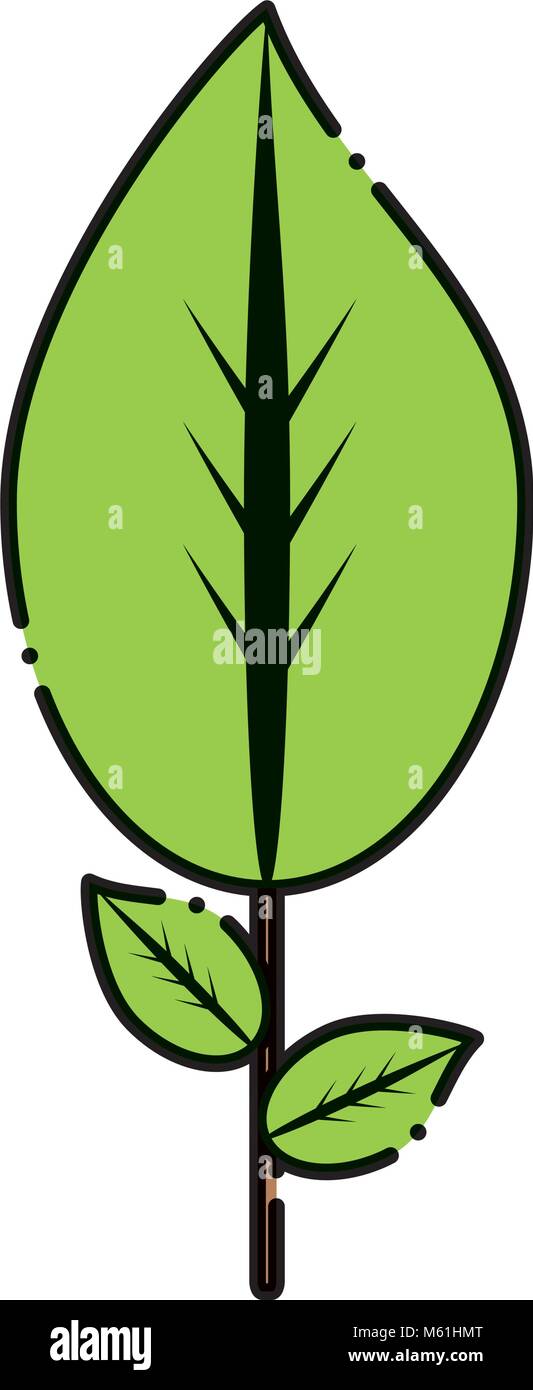 Palm tree stem detail Stock Vector Images - Alamy