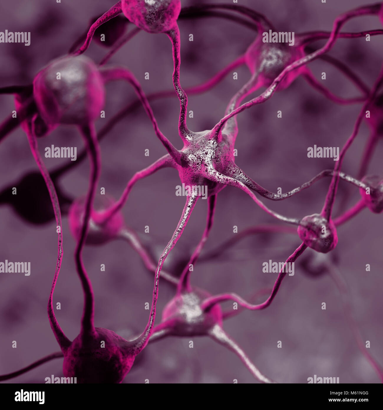 Model of a Biological Neural network of the human brain, interconnected neurons, brain cells and connections, scientific 3D illustration in purple col Stock Photo