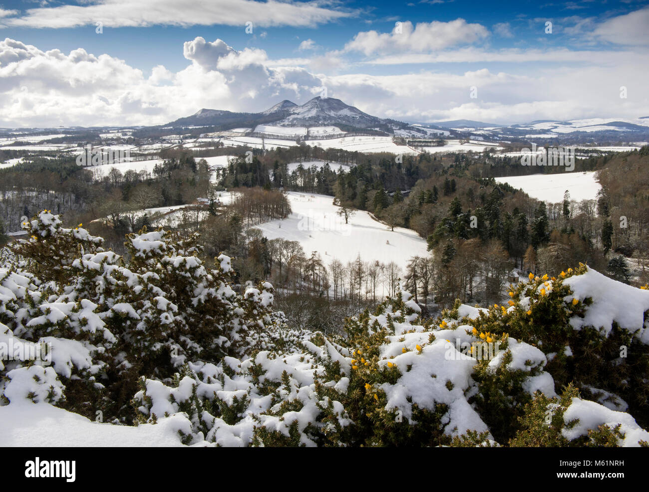 View in scottish borders hi-res stock photography and images - Alamy