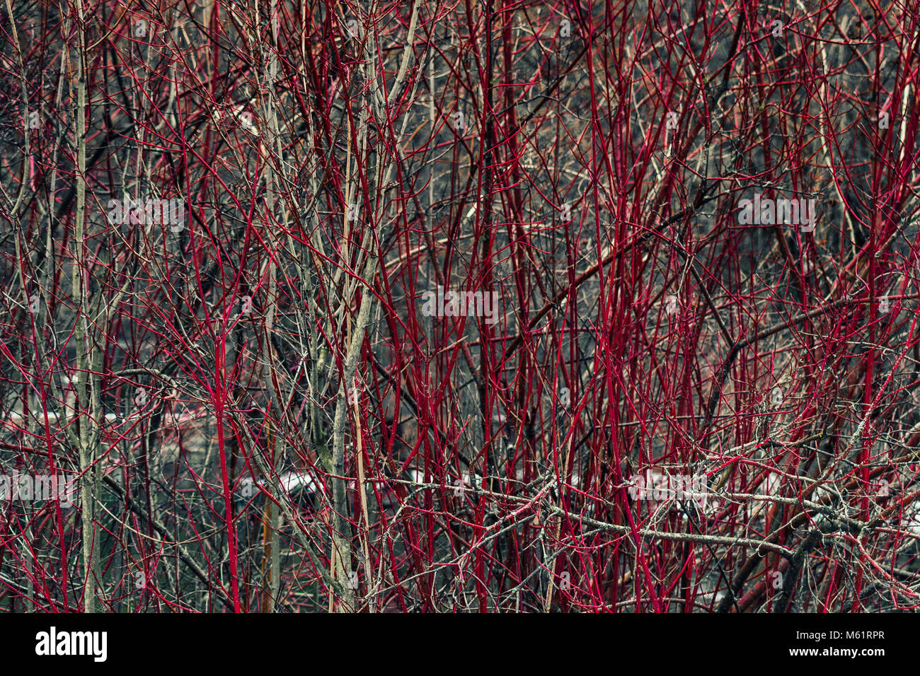 Spring weather pics hi-res stock photography and images - Alamy