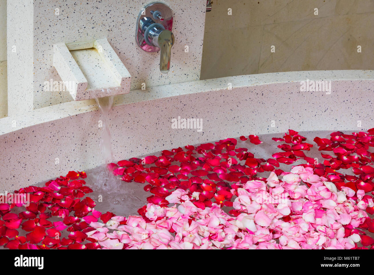 430 Rose Petal Bath Stock Photos, High-Res Pictures, and Images