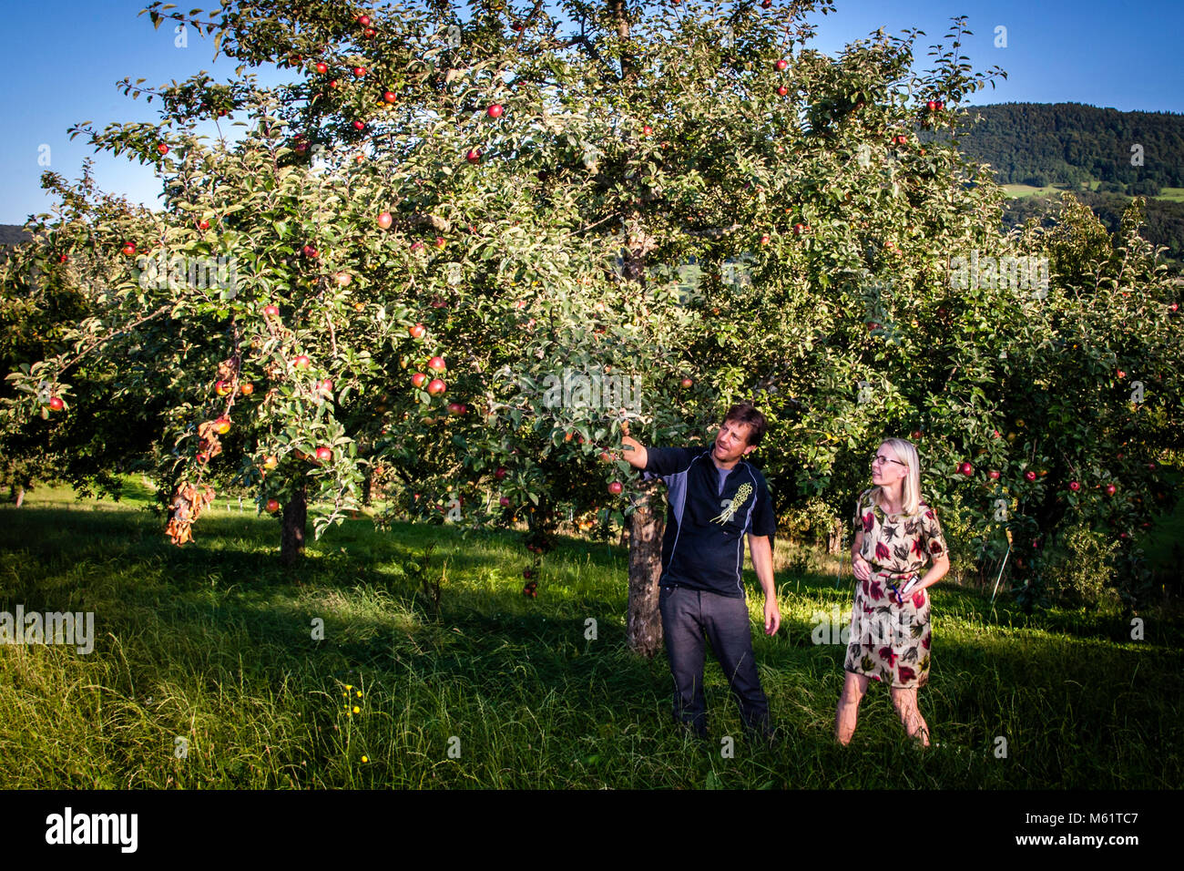 Jörg Geiger Manufaktur for Fruit wine and juices. Like in paradise: Eve seduces Adam with the apple Stock Photo