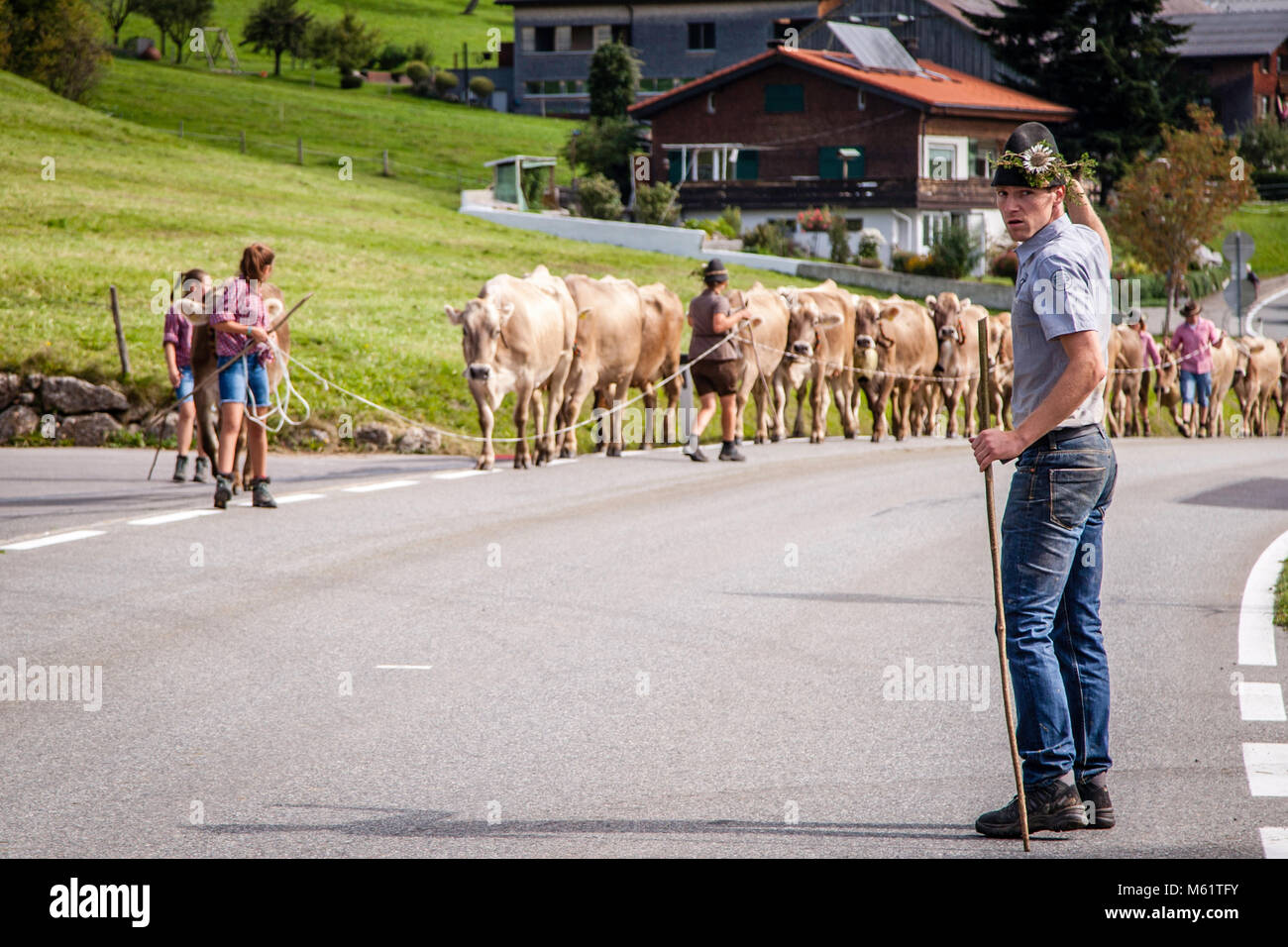Ceremonial driving down of cattle from the mountain pastures into the valley in autumn, Hittisau, Austria Stock Photo