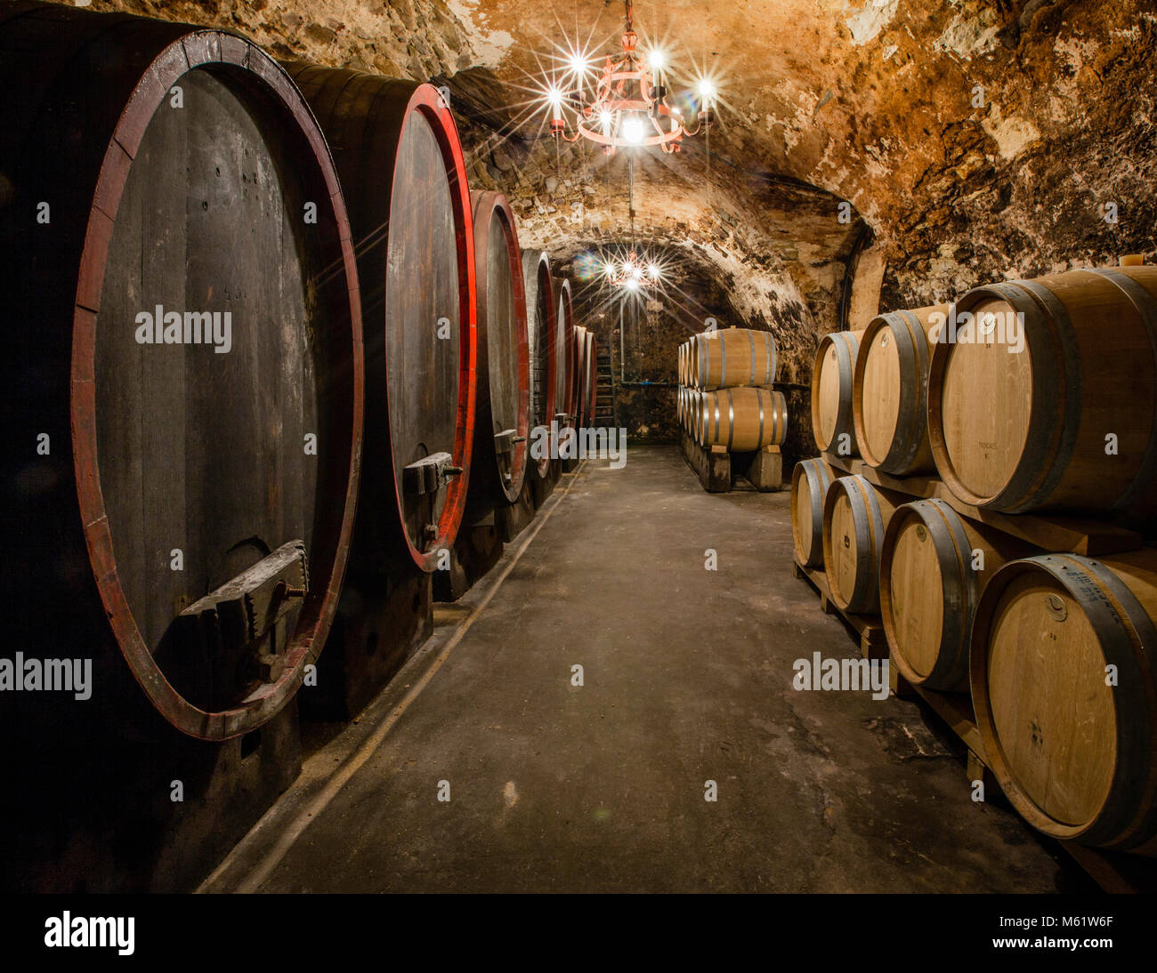 The historic wine cellar under the main house of the winery Hans