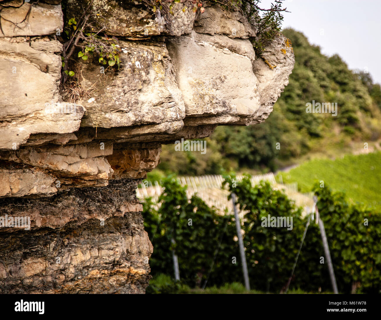 Detail of keuper rock in German vineyard. Gipskeuper characterizes the terroir of the Grossen Lagen in Iphofen, of which the Julius-Echter-Berg is the most famous site Stock Photo