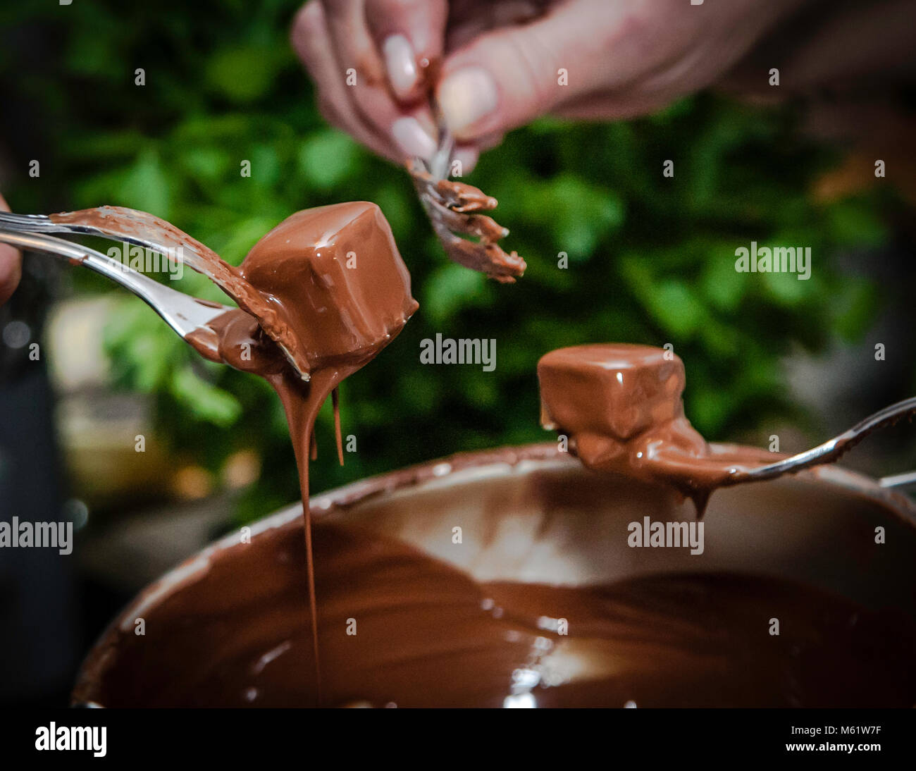 Chocolate Truffle in Grevenbroich, Germany Stock Photo Alamy