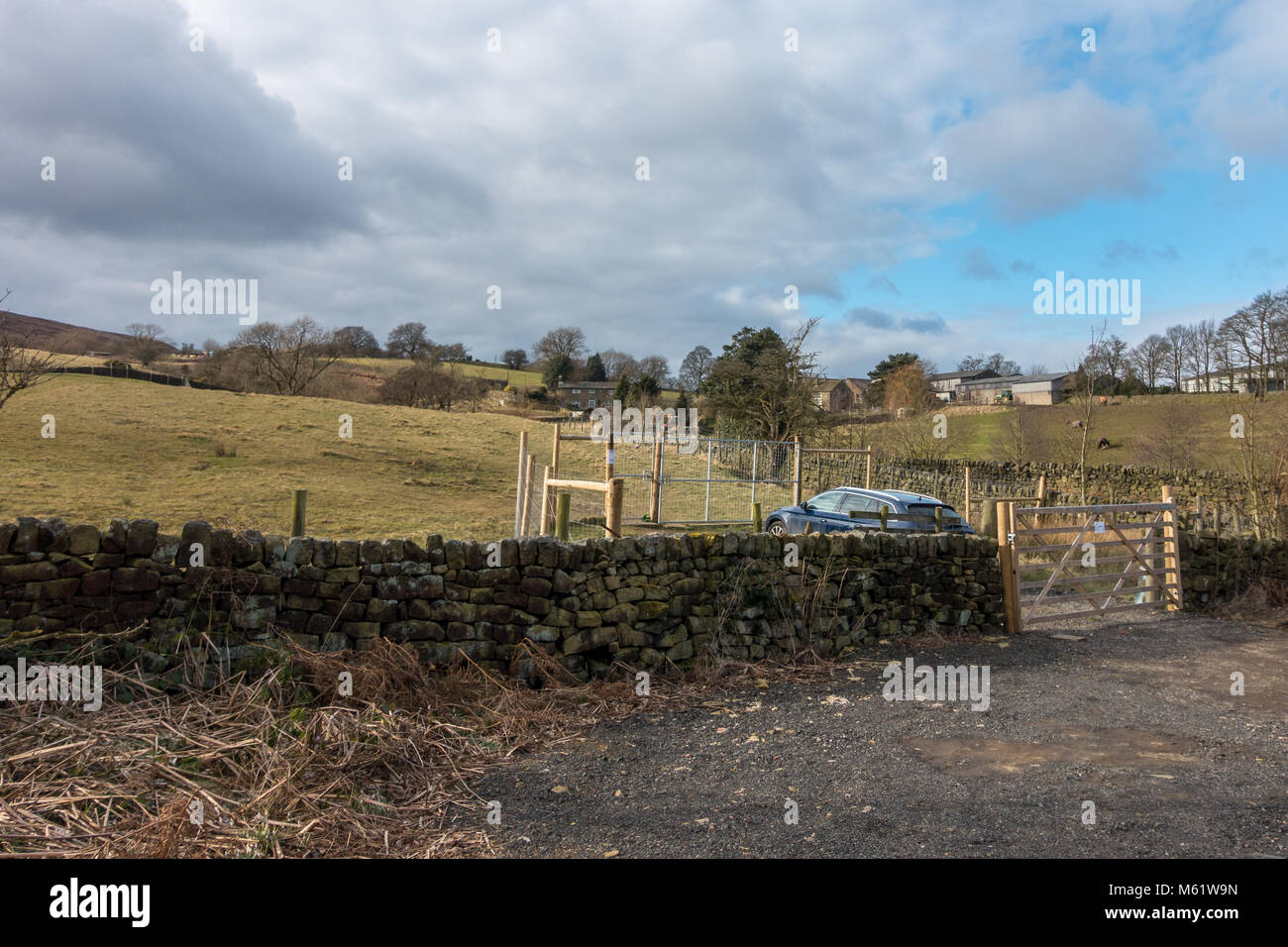 Enclosed dog walking site where dogs can run off lead safely without the worry of them running awy Stock Photo