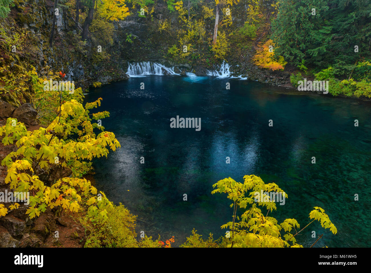 Tamolitch Falls, Blue Pool, McKenzie River, National Wild and Scenic