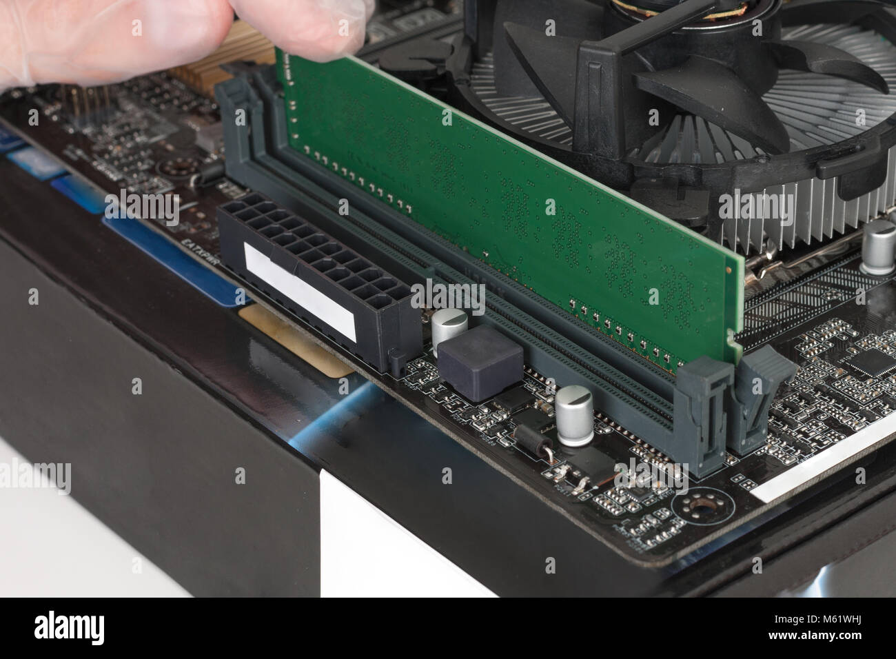 Close up of man hand with glove installing Ram DDR4 memory module in slot  on motherboard Stock Photo - Alamy