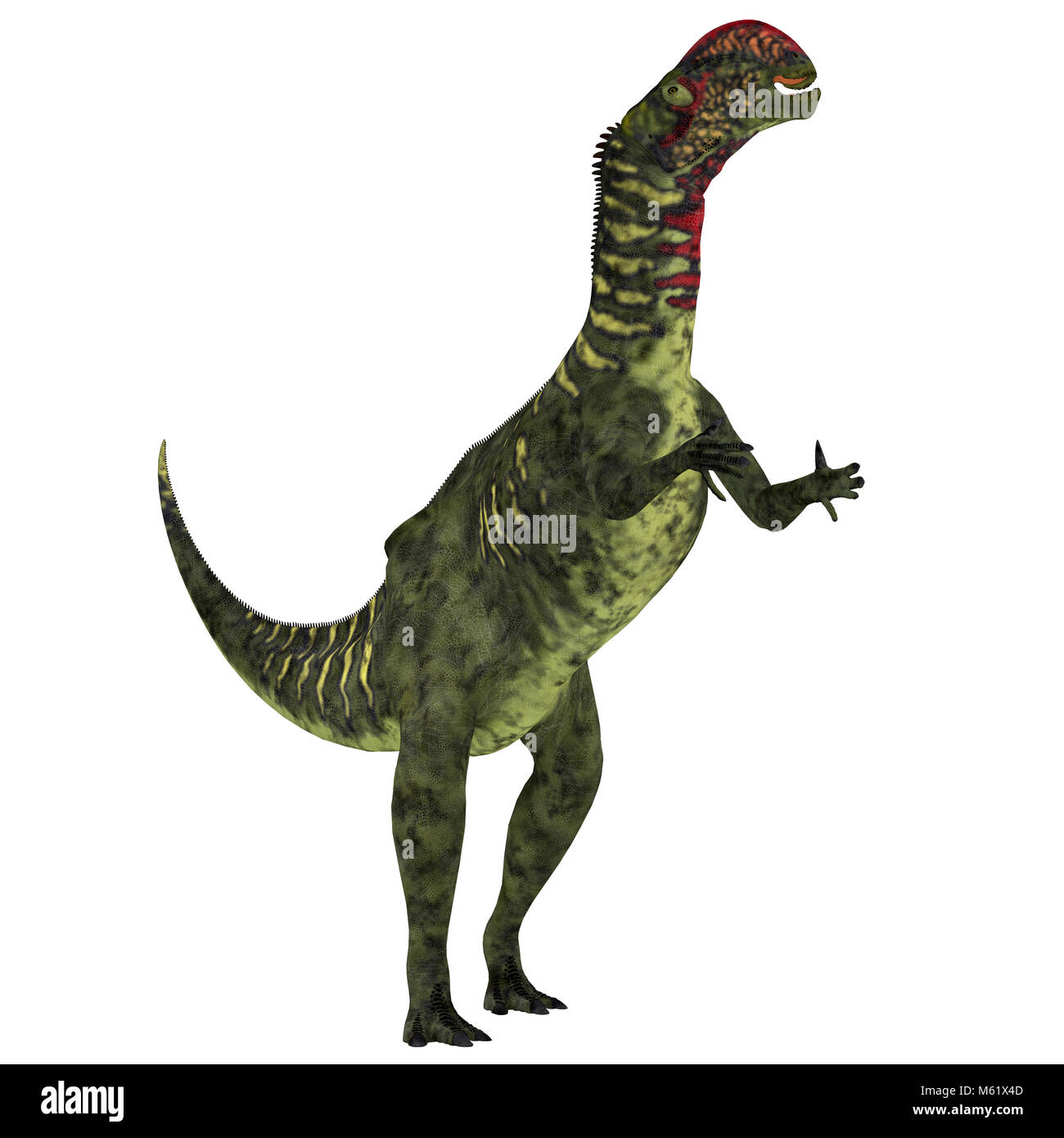 Altirhinus was an iguanodont herbivore dinosaur from the Cretaceous Period of Mongolia. Stock Photo
