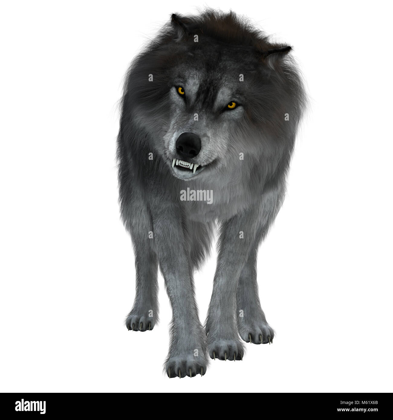 The Dire Wolf was a prehistoric carnivore that lived in North and South America during the Pleistocene Period. Stock Photo