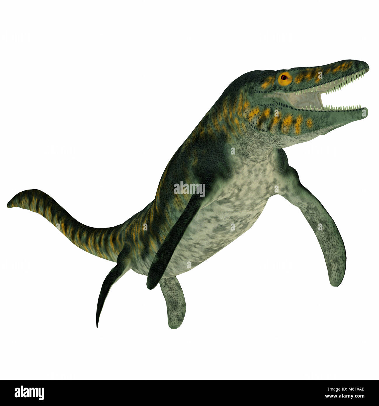 Tylosaurus was a carnivorous marine reptile that lived in the North America Western Interior Seaway during the Cretaceous Period. Stock Photo