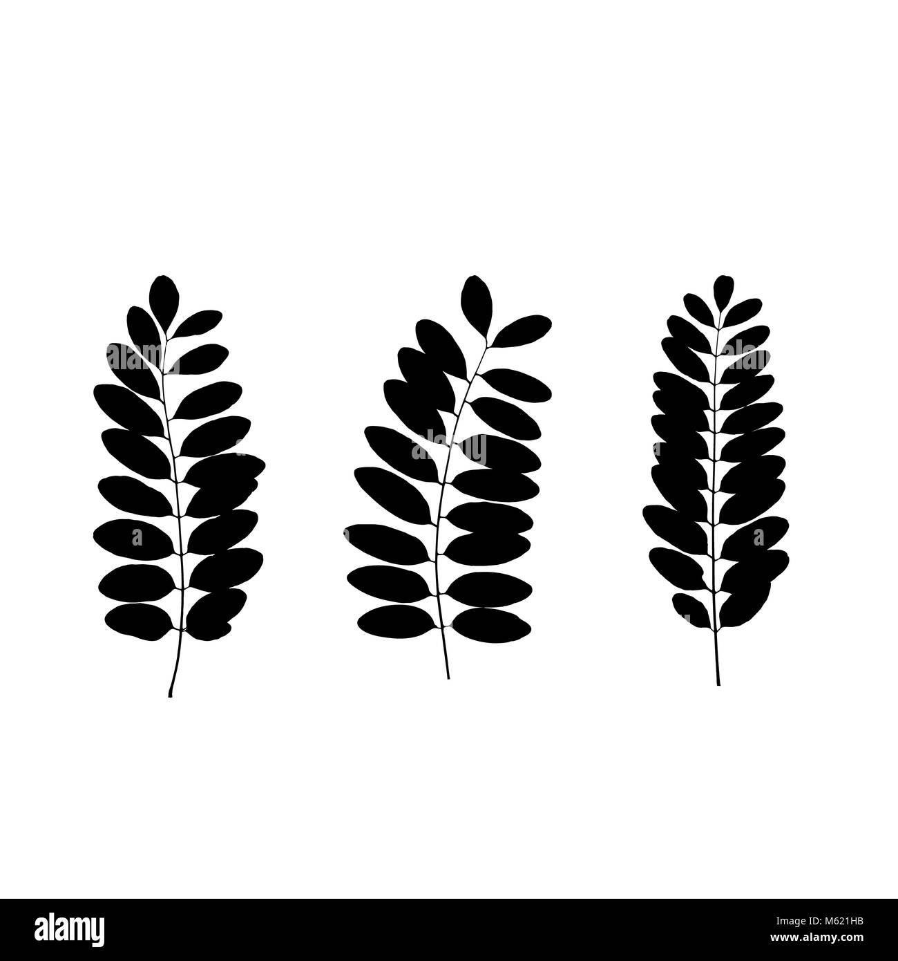 Set of black tree leaf silhouettes. Vector illustration Stock Photo - Alamy