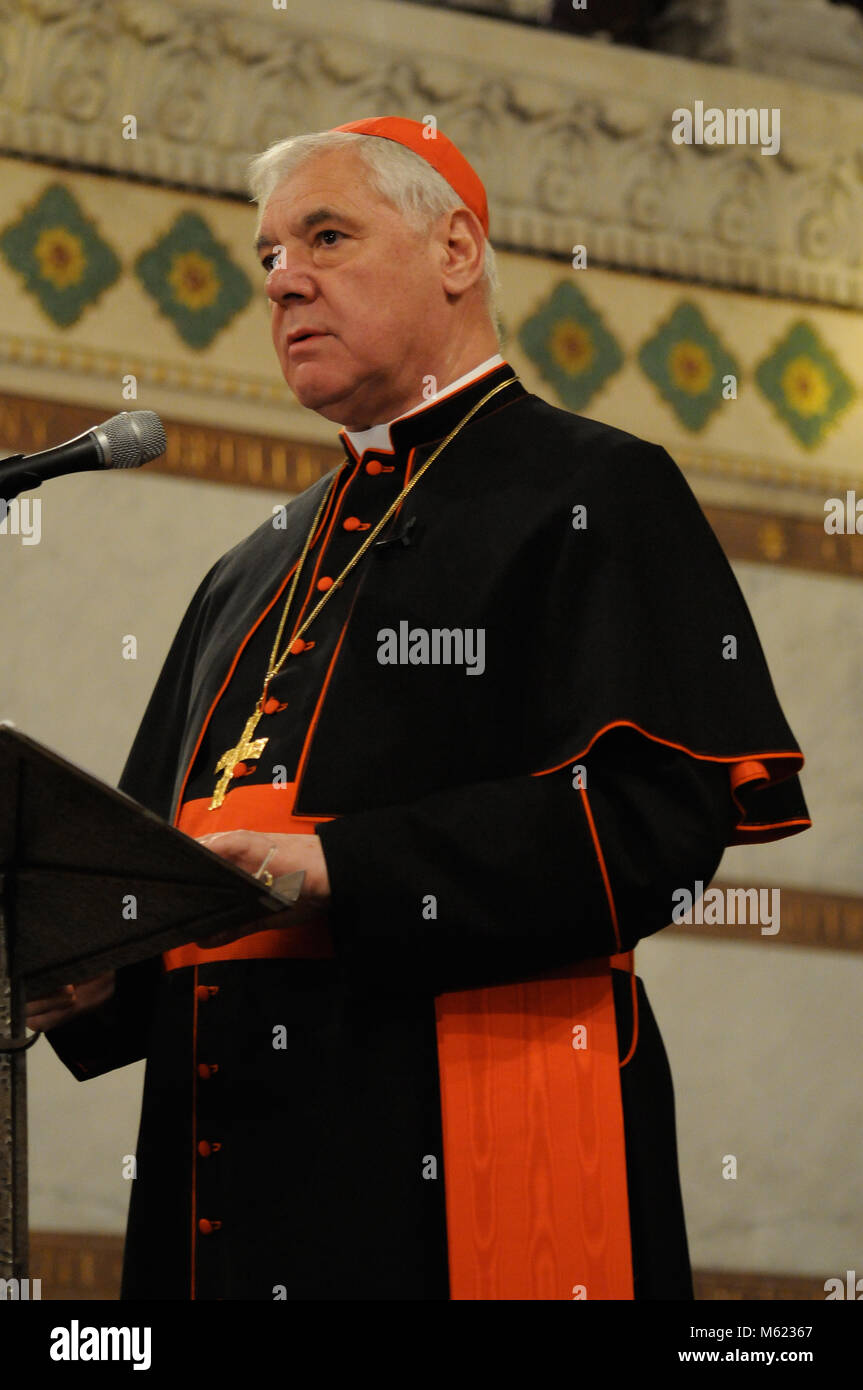 German Cardinal Gerhard Muller Talks In Lyon France Stock Photo Alamy