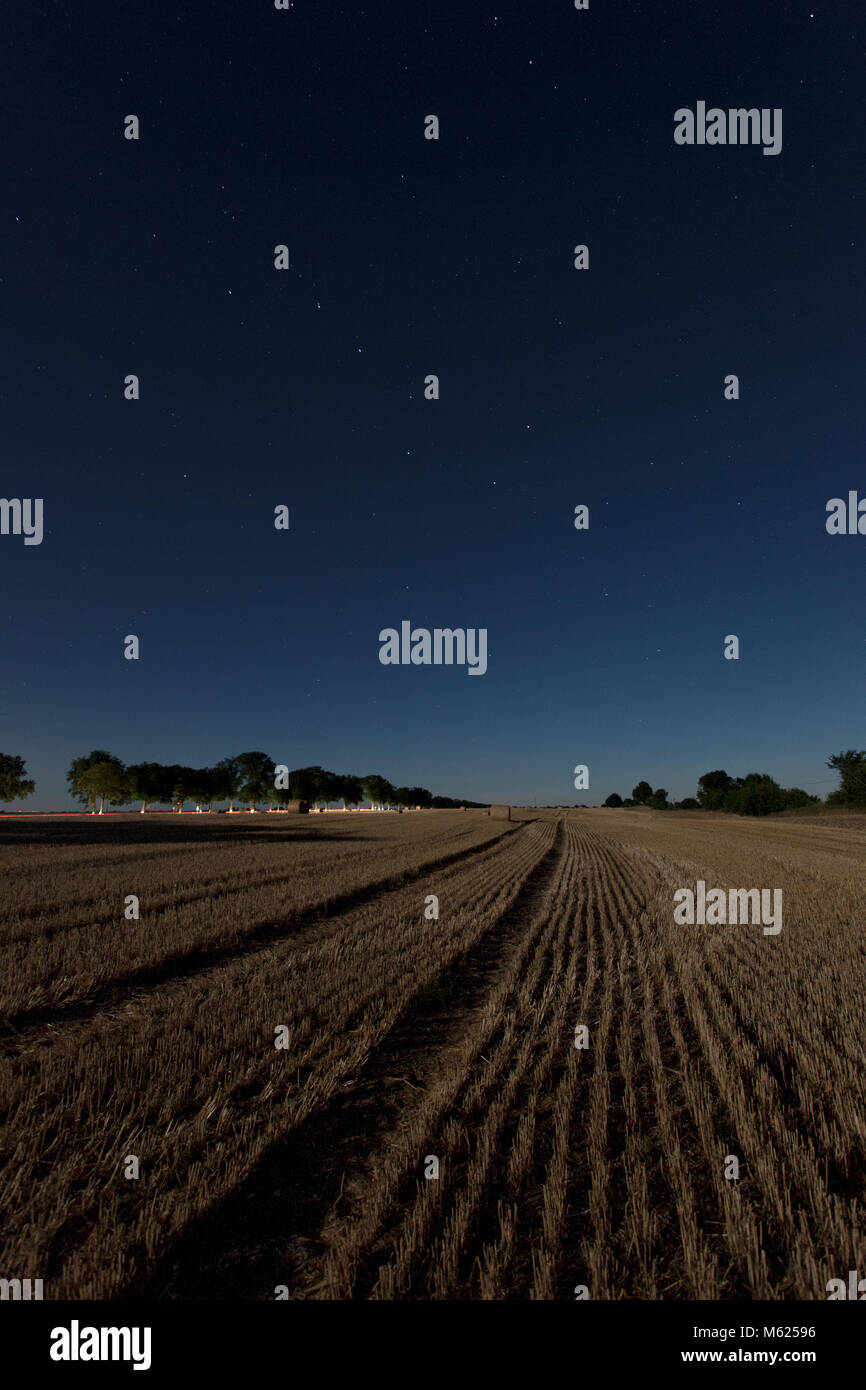 Starry night over a stubble field in Brandenburg, Germany, Europe. Stock Photo