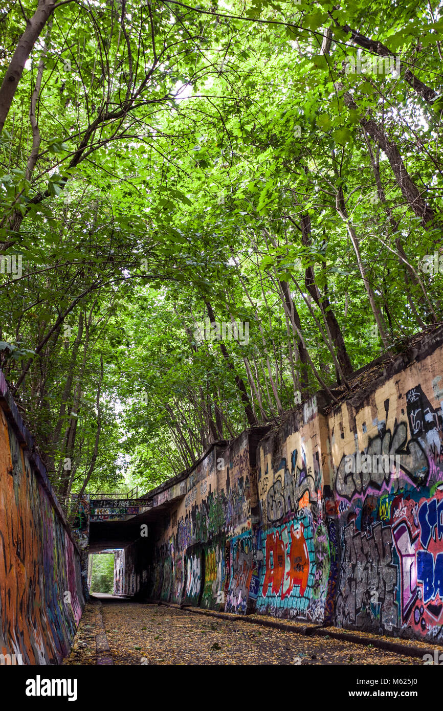 Way in the public park Schöneberger Südgelände Nature Reserve in Berlin, formally a freight station. Stock Photo