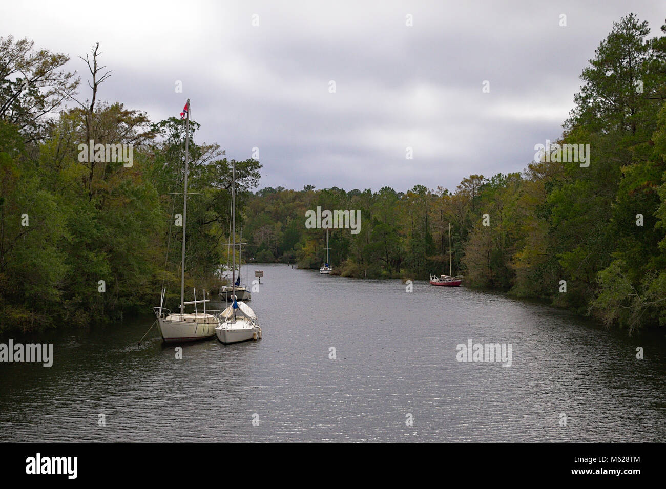 The treeline shore of the Ochlockonee River in Florida with docked boats Stock Photo