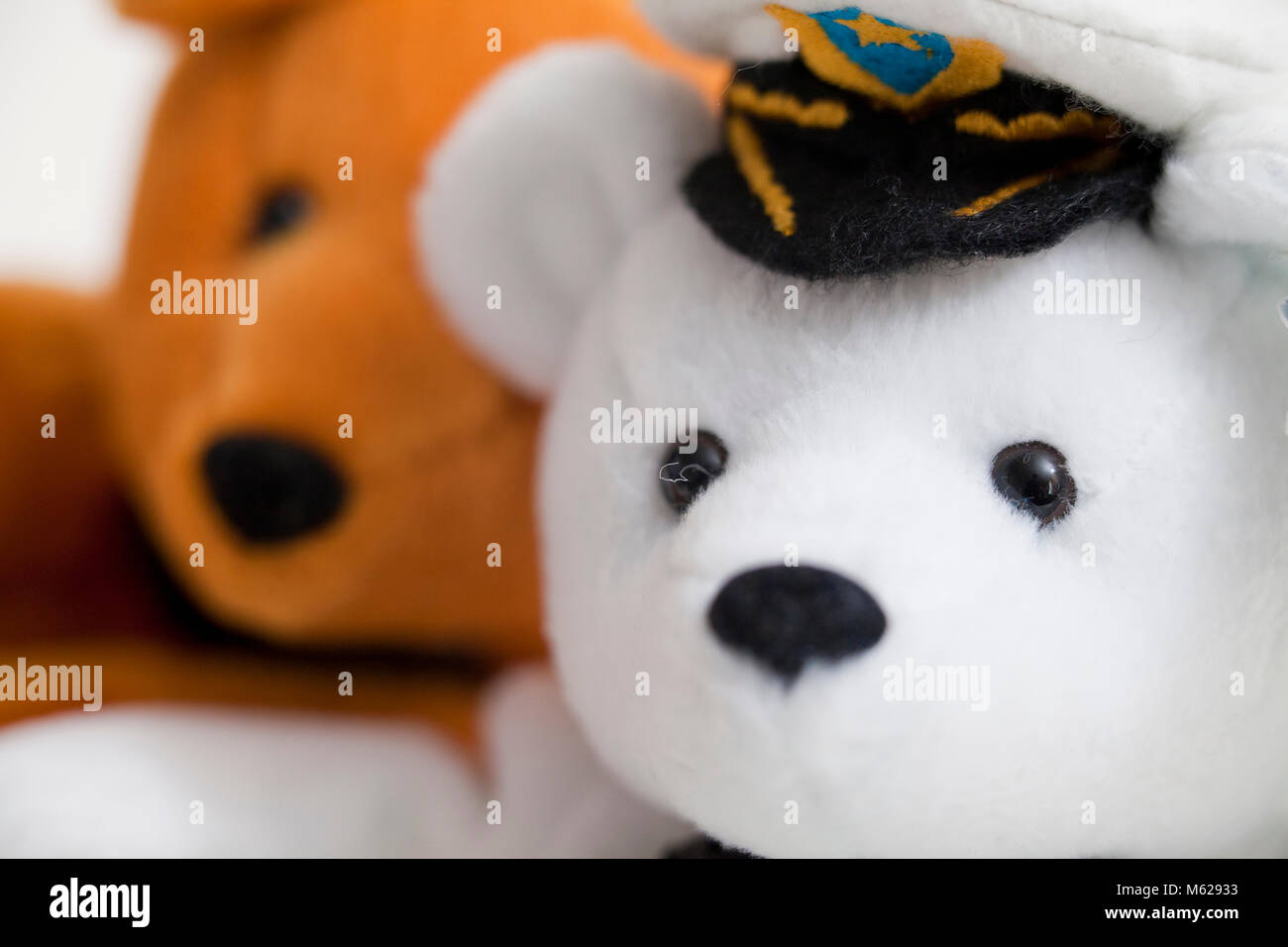 Two different colors of teddy bears closeup (teddy bear faces) Stock Photo