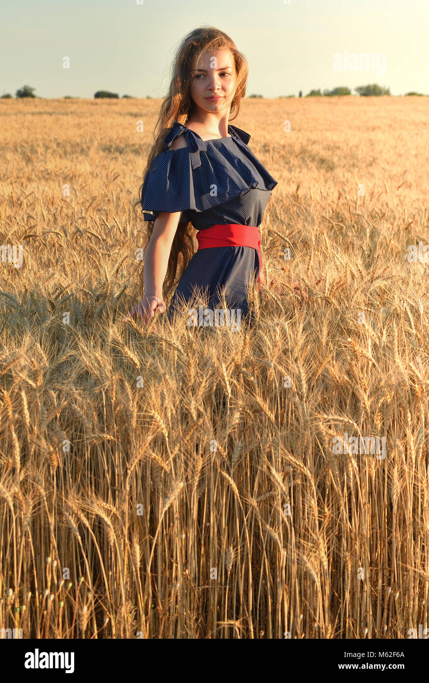 A beautiful young woman with long hair standing in the wheat field ...
