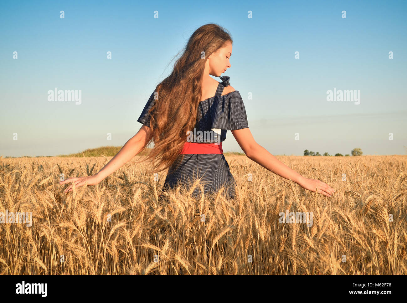 A young woman stands in the field and touches the ears of wheat. Clear ...