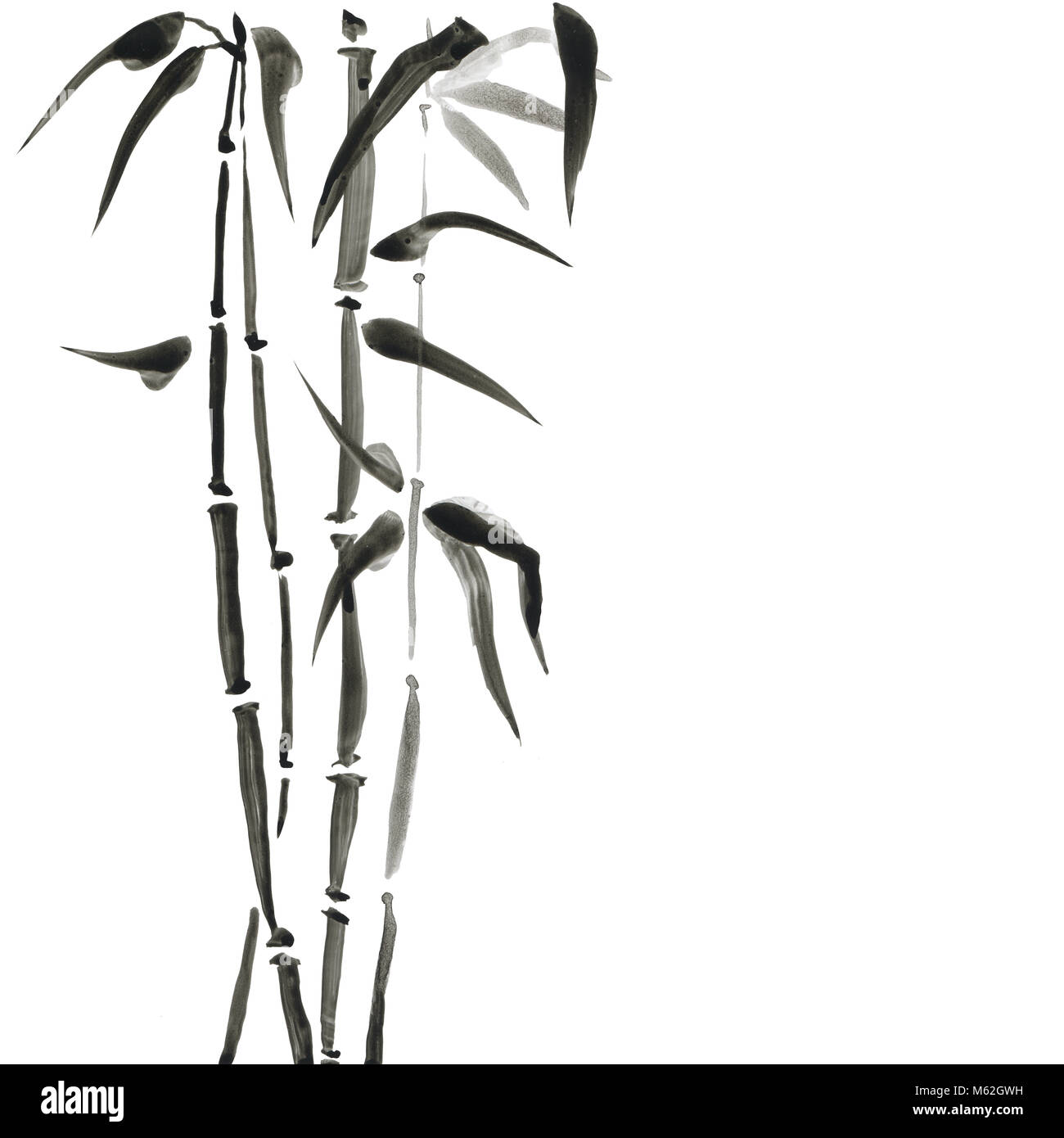 Bamboo in Japanese style. Watercolor hand painting illustration Stock