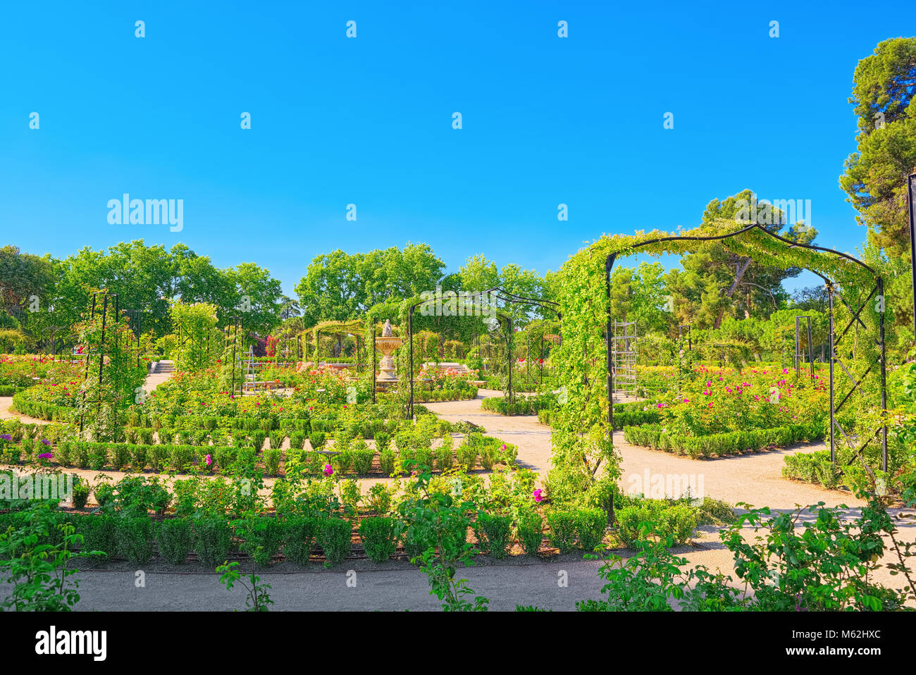 Walking through Buen Retiro Park. Rose Park (Parque De Las Rosas) in Botanical Garden in Park of