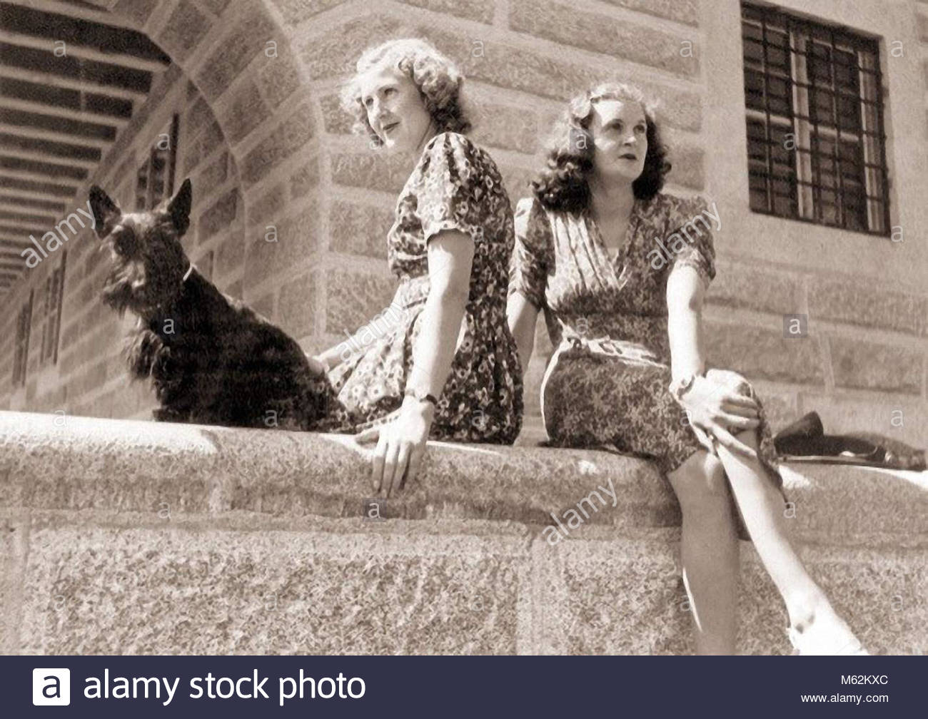 Ewa Braun Stock Photo 175851156 Alamy