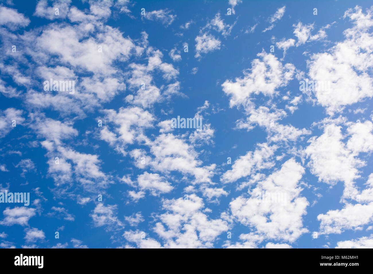 blue sky with cloud Stock Photo