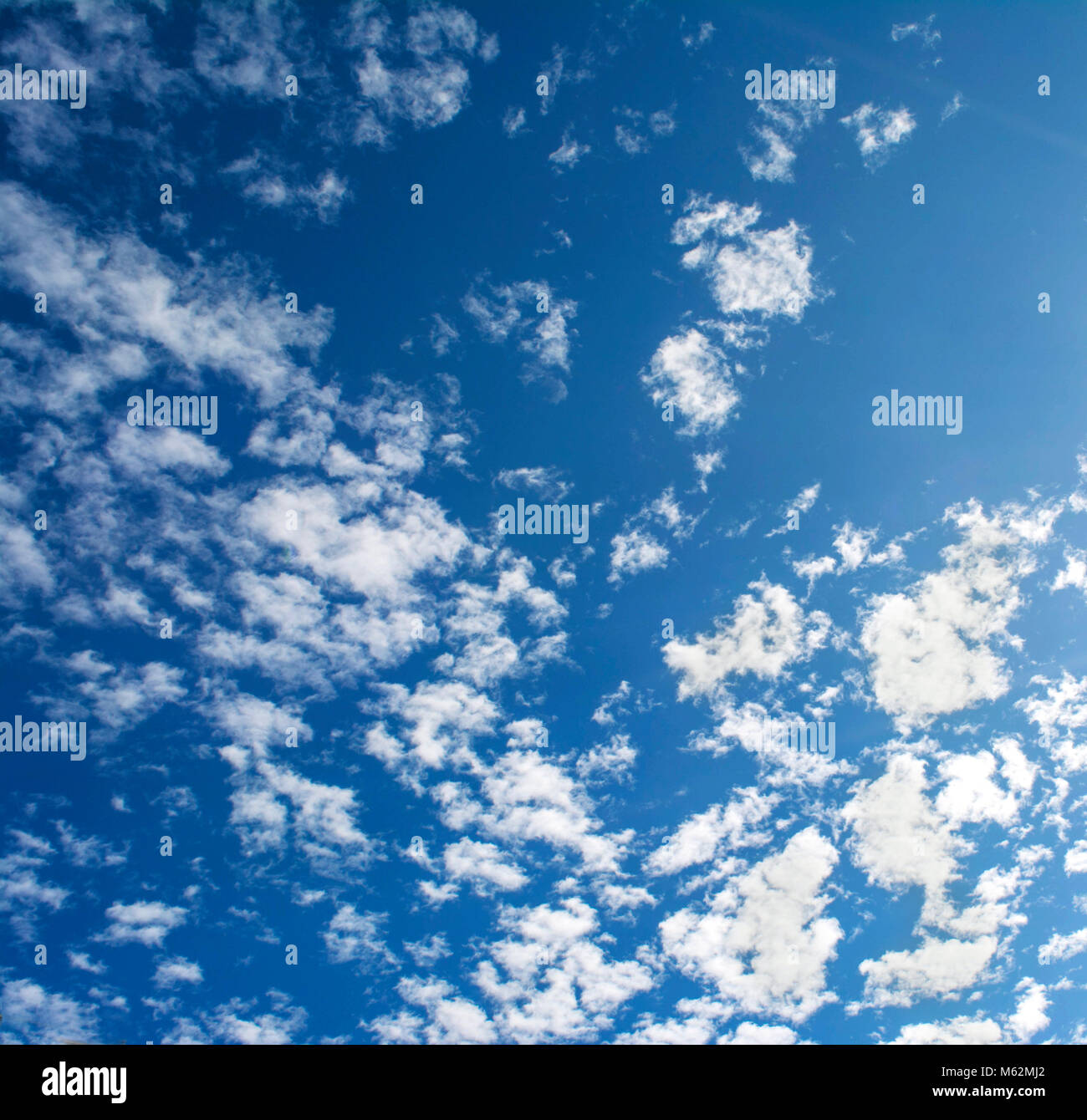 blue sky with cloud Stock Photo
