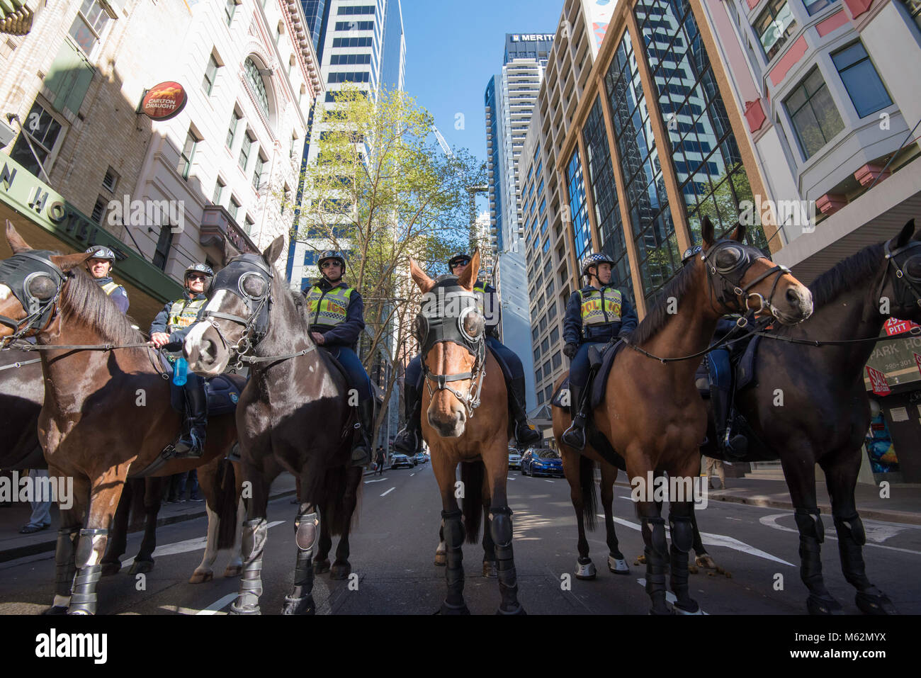 Mounted New South Wales (Australian) police in a line at a peaceful protest in Sydney in September 2017 for marriage equality Stock Photo