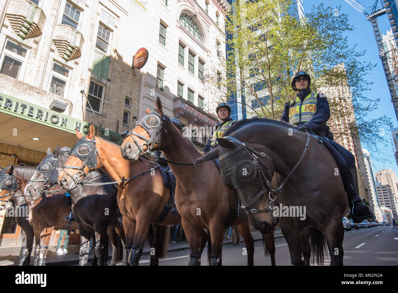 Mounted NSW (Australian) police in a line at a peaceful protest in Sydney in September 2017 for marriage equality Stock Photo